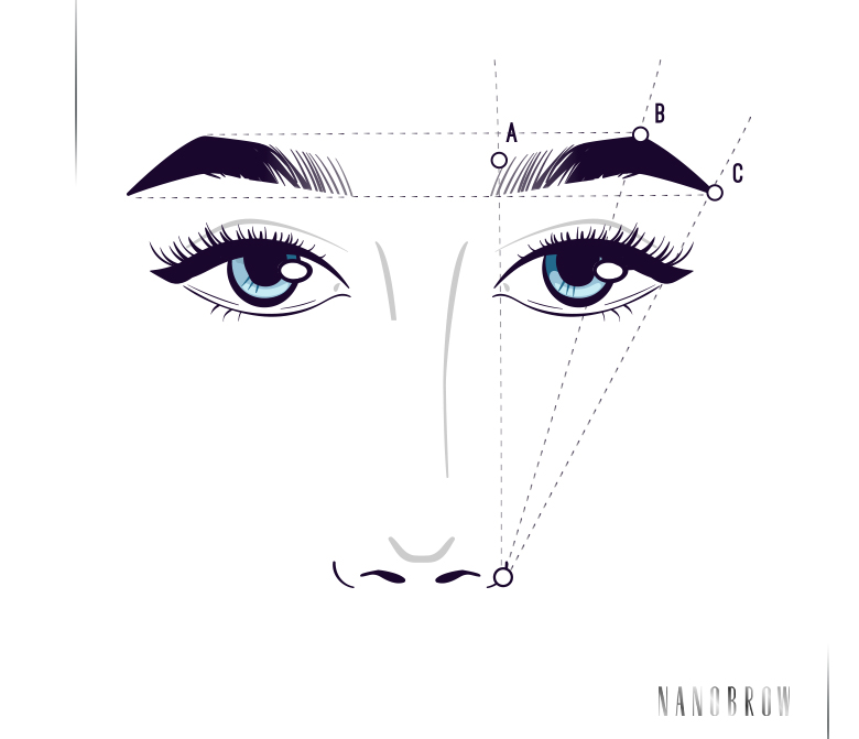 Ilustração mostrando a marcação das linhas horizontais das sobrancelhas